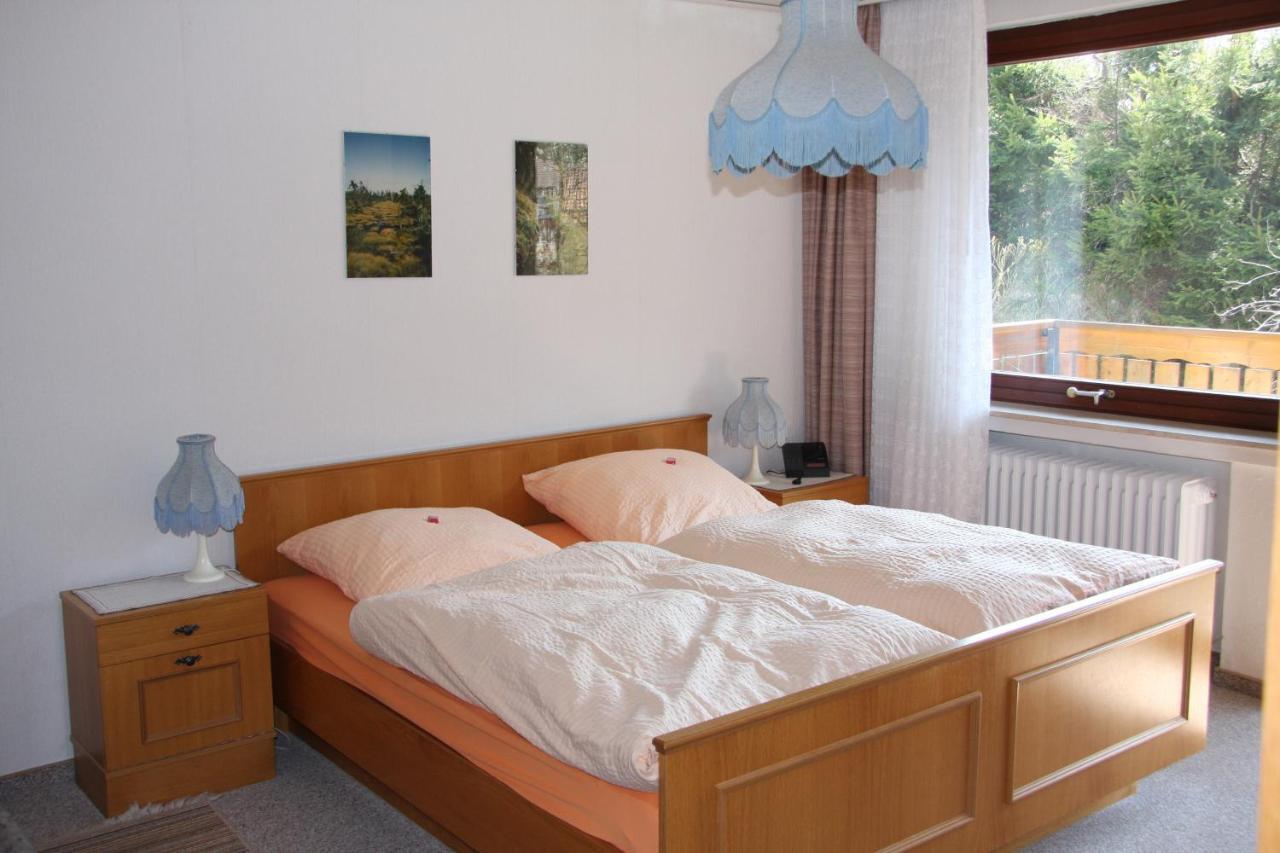 Haus Gruene Insel - Ferienwohnungen Altenau  Exteriör bild