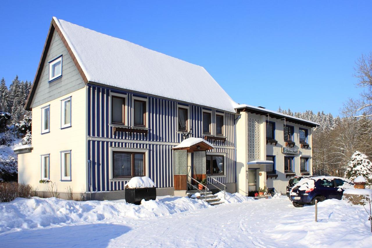 Haus Gruene Insel - Ferienwohnungen Altenau  Exteriör bild